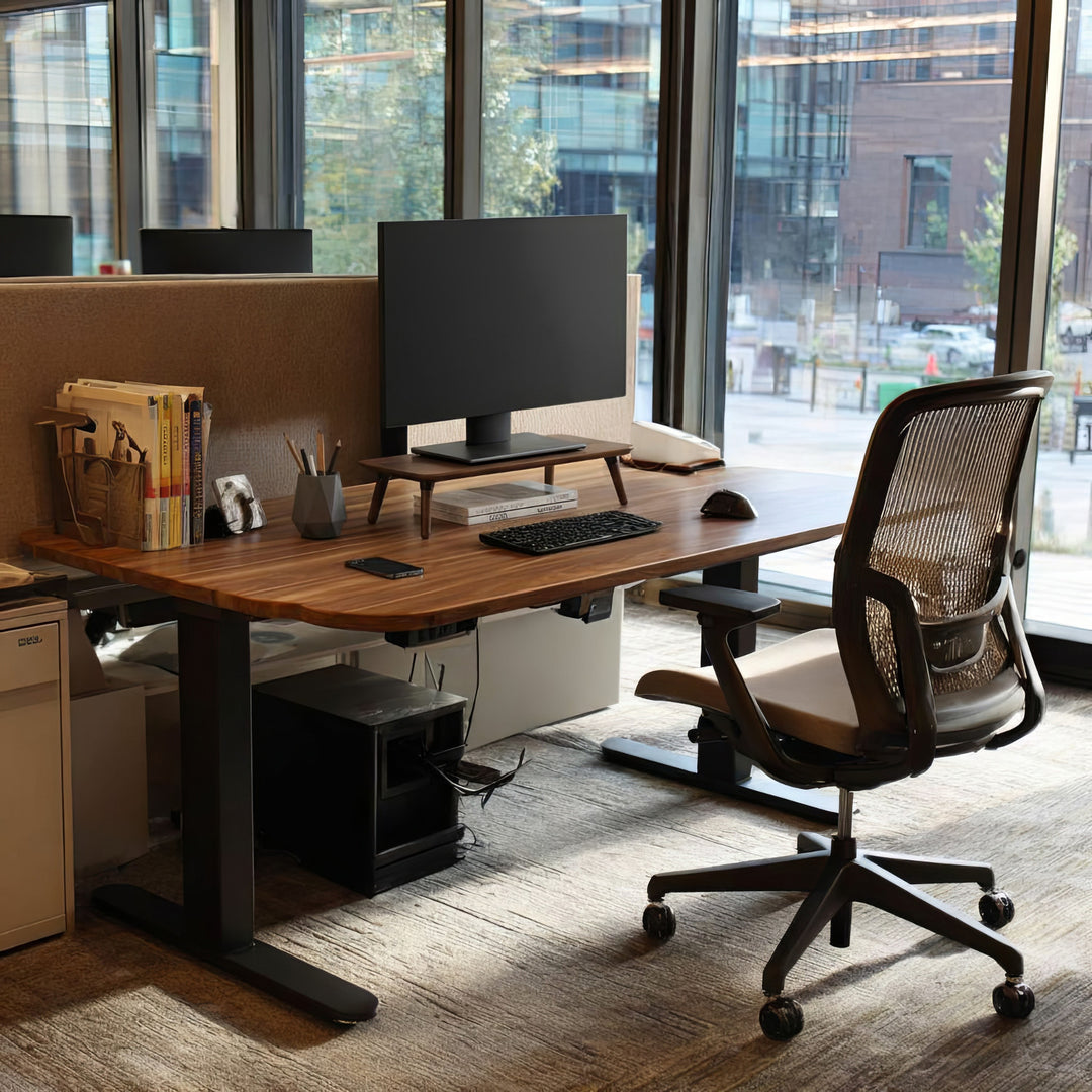 Holzständer für Monitor / Laptop Maclean, (500x240x120mm), schwarz nussbaumfarben, max. 20kg, MC-930