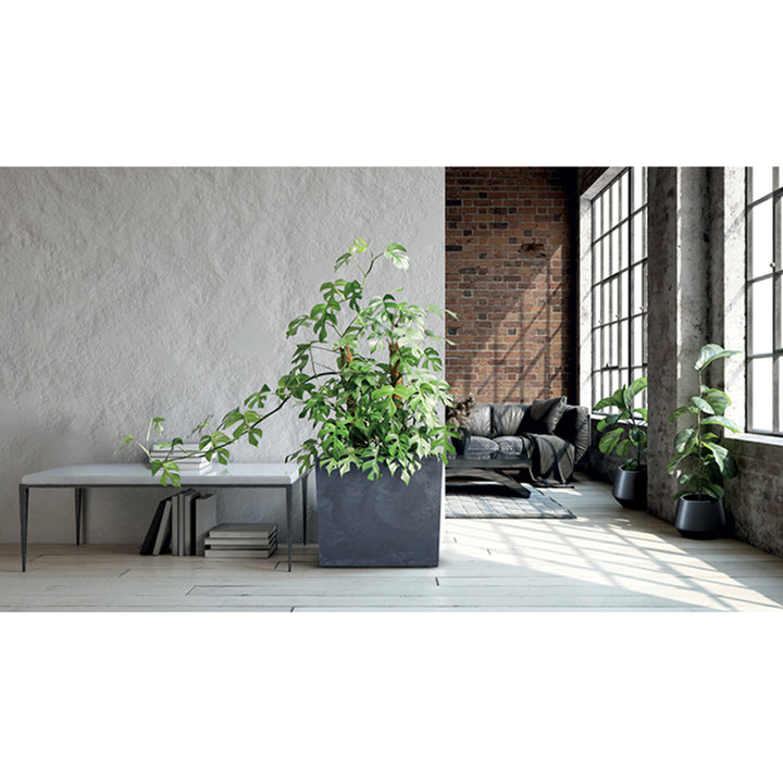 Urbi Case Beton Effect Tower Pflanzkübel mit Innentopf Pflanztrog Blumentrog für Innen- und Außenbereich Rechteckig Kunststoff (77x23,5x68,7cm, Anthrazit)