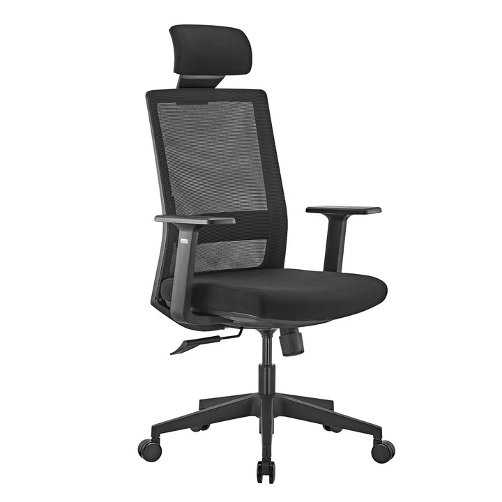 Ergonomischer Premium-Bürostuhl mit hoher Rückenlehne Ergo Office, max 150kg, ER-425