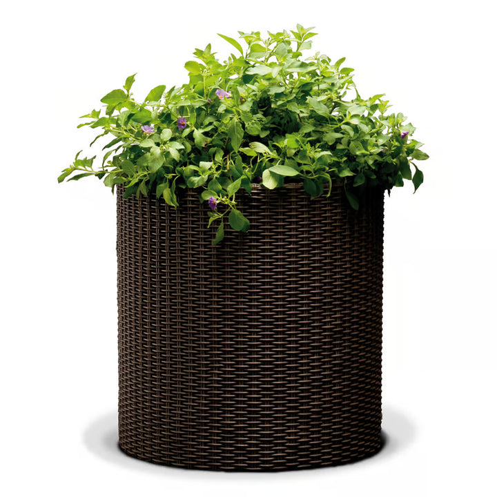 Keter Blumentopf, rund, Durchmesser 36 cm, Bronze, Cylinder Planter M
