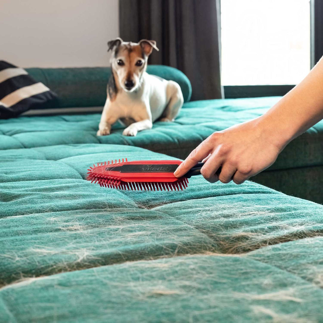 Vileda Bürste, elektrostatisch, für Haare und Fell, Pet Pro