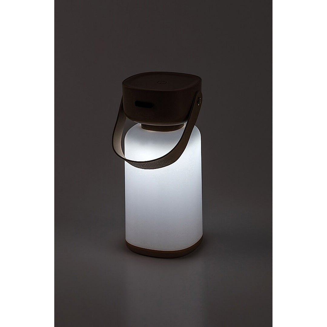 Rabalux dekorative Lampe, außen, IP44, 3W, braun, Funes