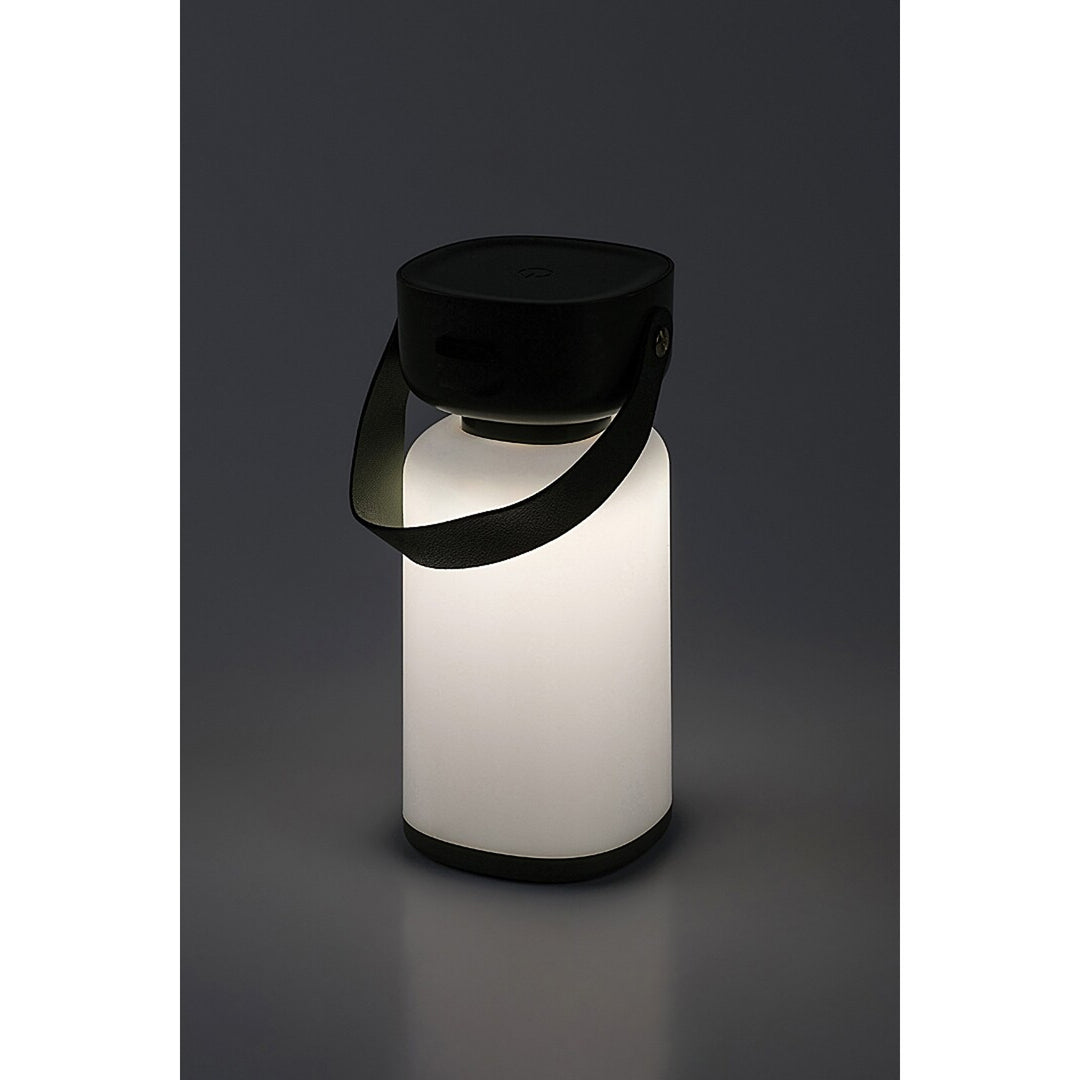 Rabalux dekorative Lampe, außen, IP44, 3W, grün, Funes