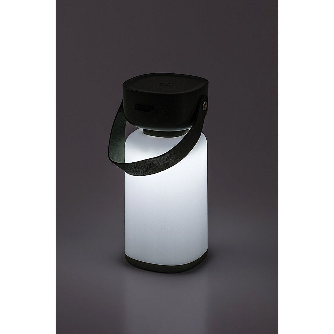 Rabalux dekorative Lampe, außen, IP44, 3W, grün, Funes