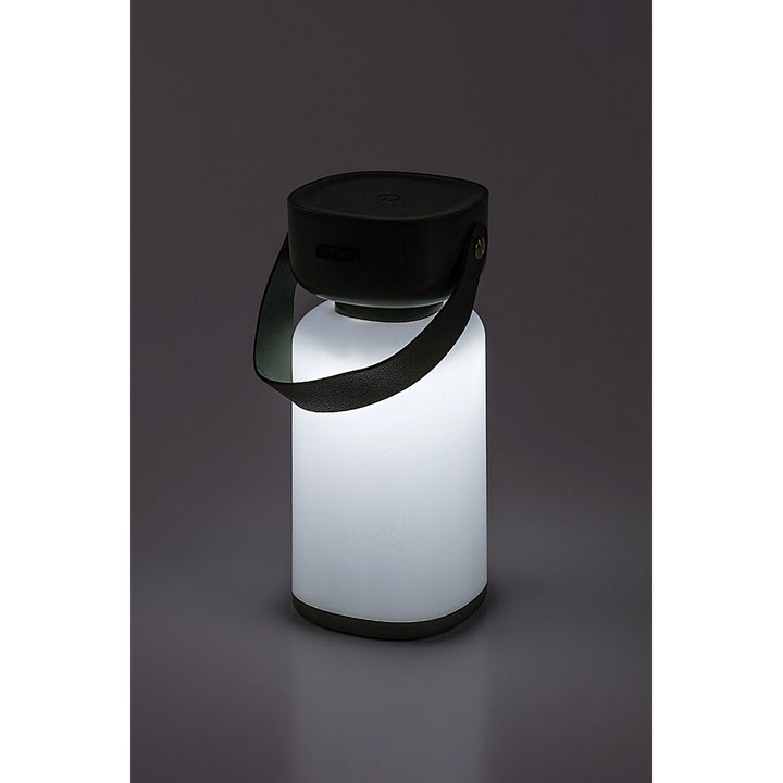 Rabalux dekorative Lampe, außen, IP44, 3W, grün, Funes