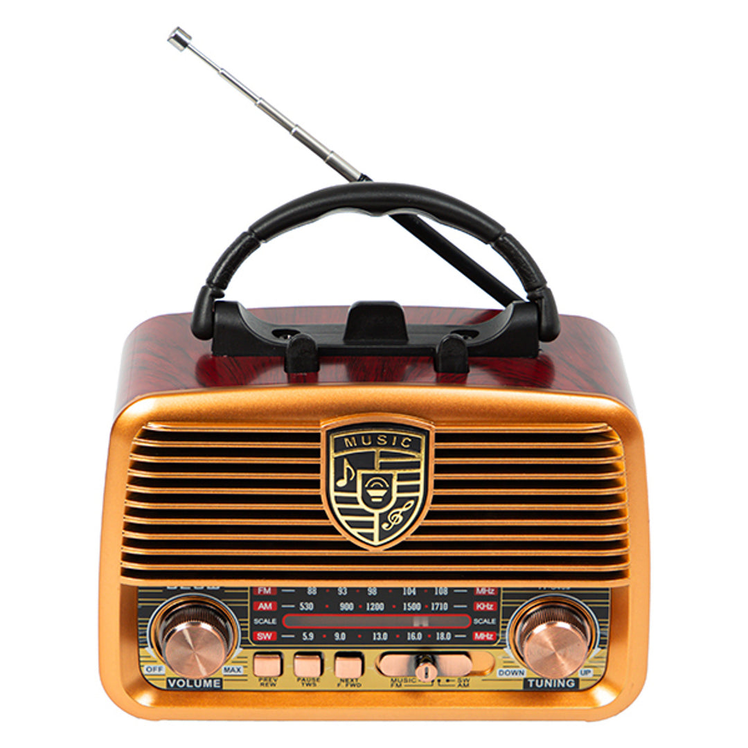 AM/FM BT BLOW RA10 tragbares Solarradio mit Powerbank-Funktion, 2,5-Zoll-Lautsprecher