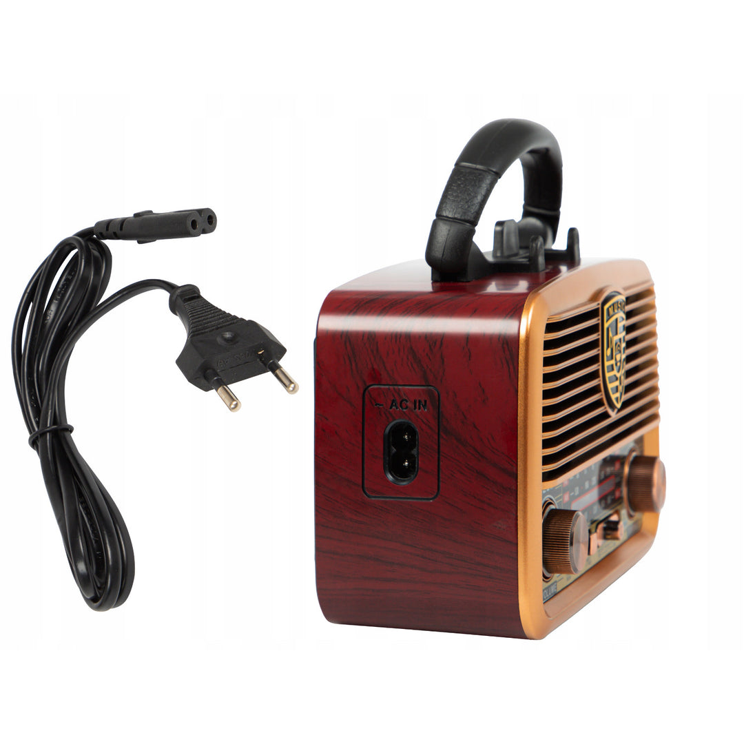 AM/FM BT BLOW RA10 tragbares Solarradio mit Powerbank-Funktion, 2,5-Zoll-Lautsprecher