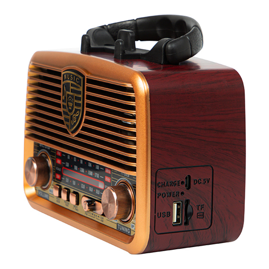 AM/FM BT BLOW RA10 tragbares Solarradio mit Powerbank-Funktion, 2,5-Zoll-Lautsprecher