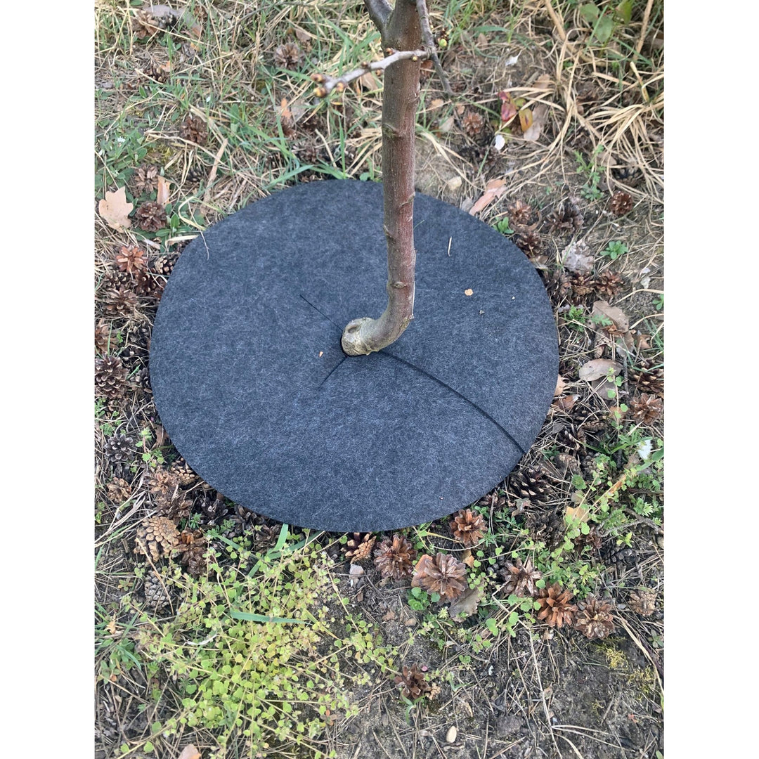 Bertoni Unkrautbekämpfungsscheiben, 3 Stück, 50 cm, grau