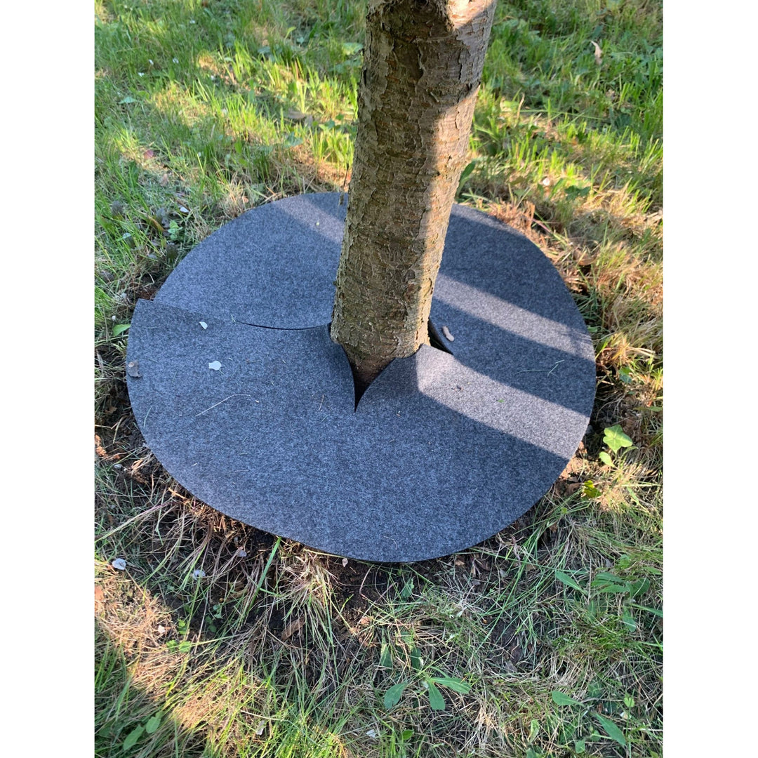 Bertoni Unkrautbekämpfungsscheiben, 3 Stück, 50 cm, grau
