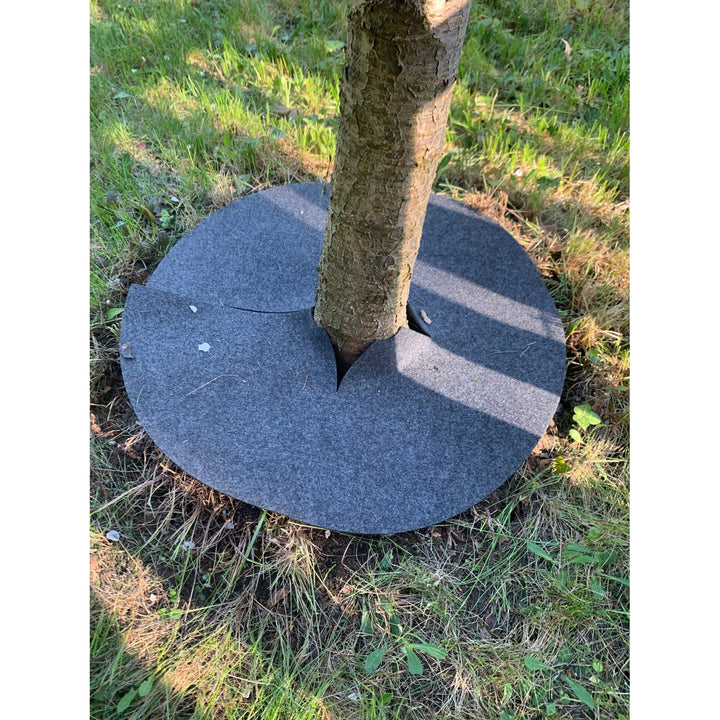 Bertoni Unkrautbekämpfungsscheiben, 3 Stück, 50 cm, grau