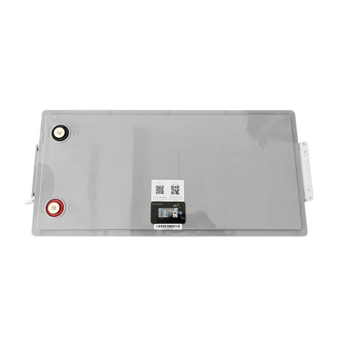 LiFePo4 Lexton Lithium-Eisenphosphat-Akku, mit BMS, 12,8V, 200Ah, LXLFP200 + LTC Energy LiFePO4-Ladegerät