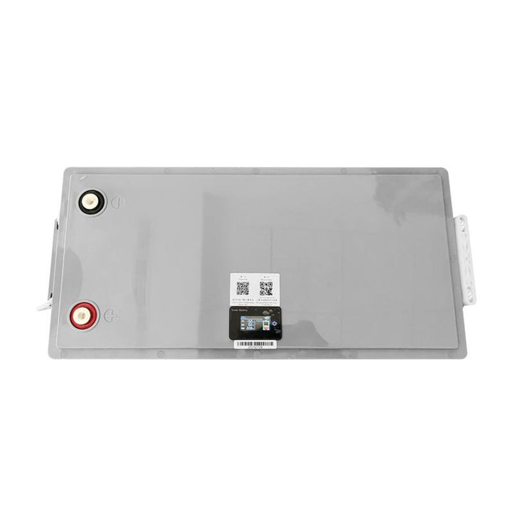 LiFePo4 Lexton Lithium-Eisenphosphat-Akku, mit BMS, 12,8V, 200Ah, LXLFP200 + LTC Energy LiFePO4-Ladegerät