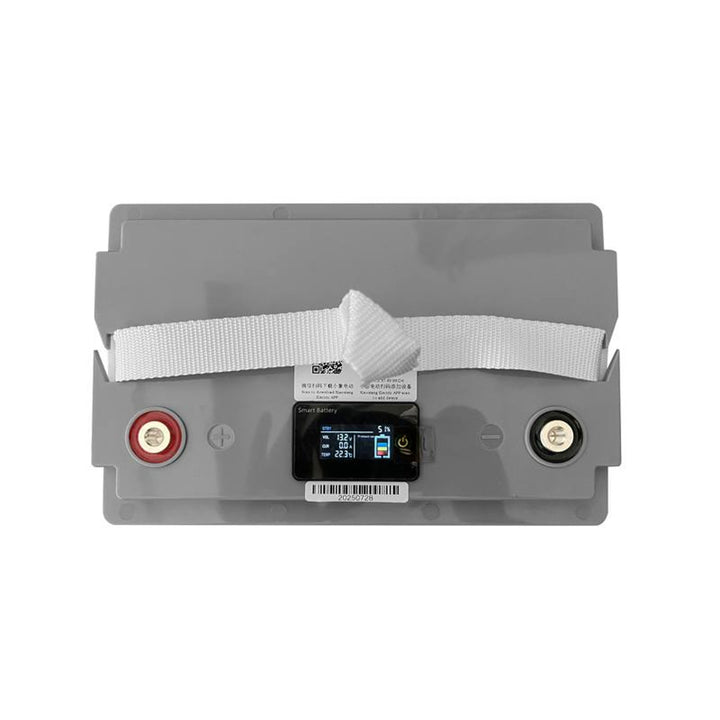 Lexton Lithium-Eisen-Phosphat LiFePo4 Akku, mit BMS, 12,8V, 70Ah, LXLFP70 + LTC Energy LiFePO4 Akku-Gleichrichter