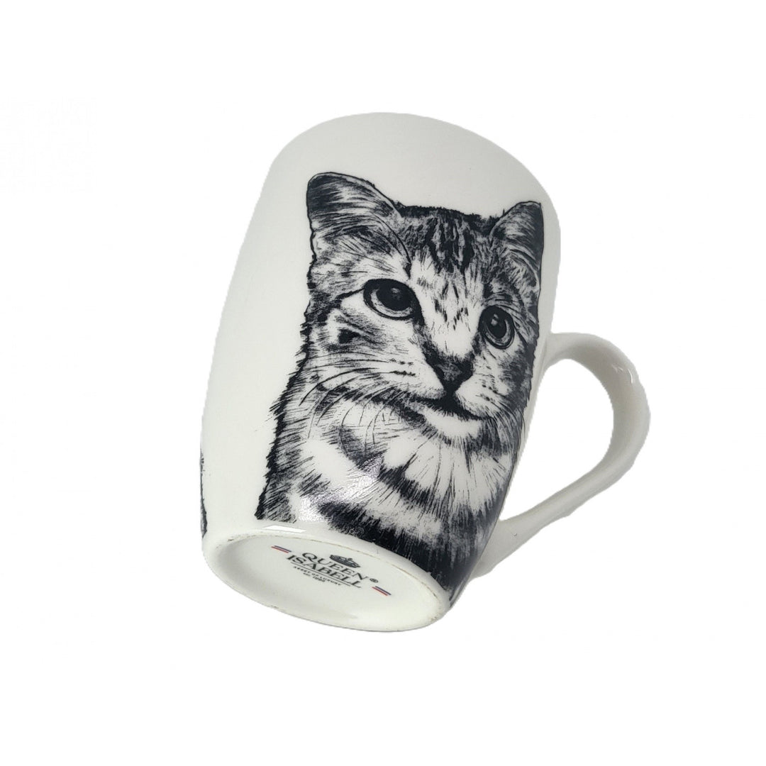 Königin Isabel Porzellantasse, American Shorthair Katze, 350ml, Q1-05195