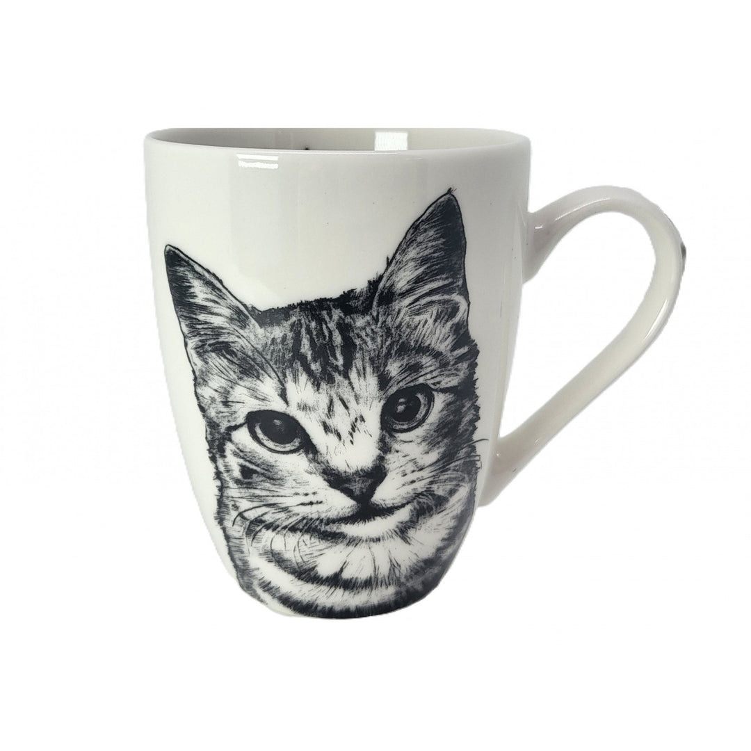 Königin Isabel Porzellantasse, American Shorthair Katze, 350ml, Q1-05195