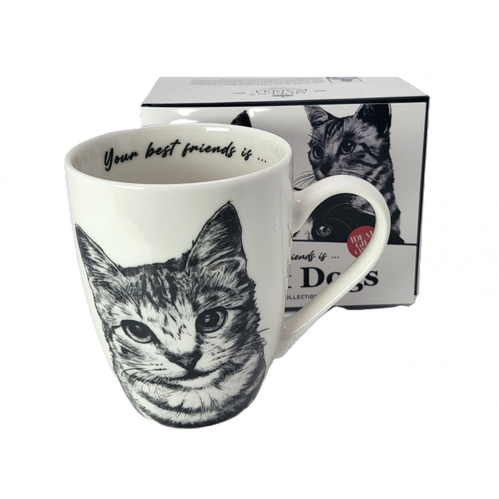 Königin Isabel Porzellantasse, American Shorthair Katze, 350ml, Q1-05195