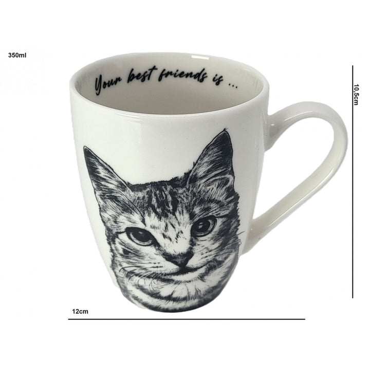 Königin Isabel Porzellantasse, American Shorthair Katze, 350ml, Q1-05195