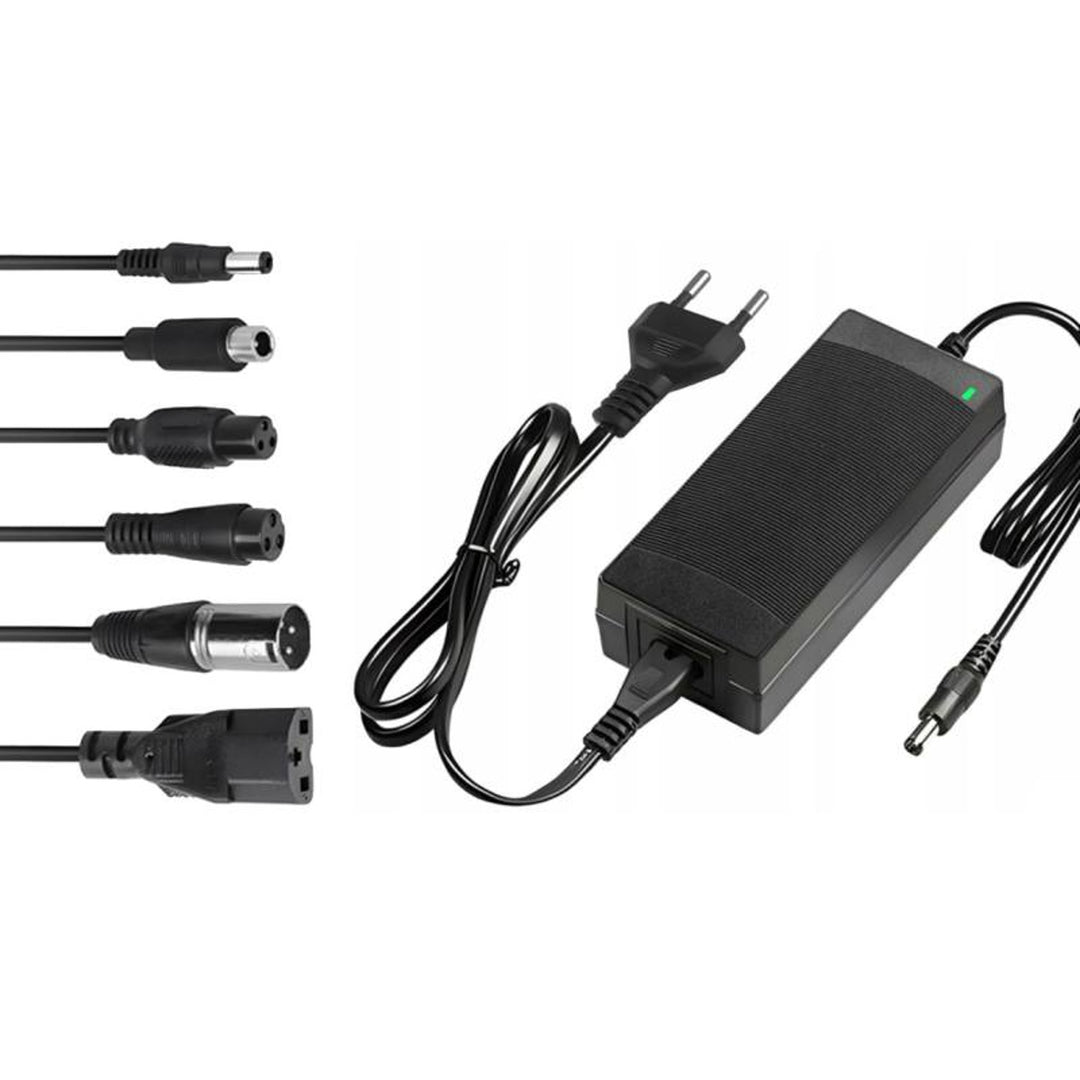 Lextool Universal-Ladegerät für Scooter und Elektrofahrzeuge, 54,6V 2A, 6 DC-Stecker, LXG95
