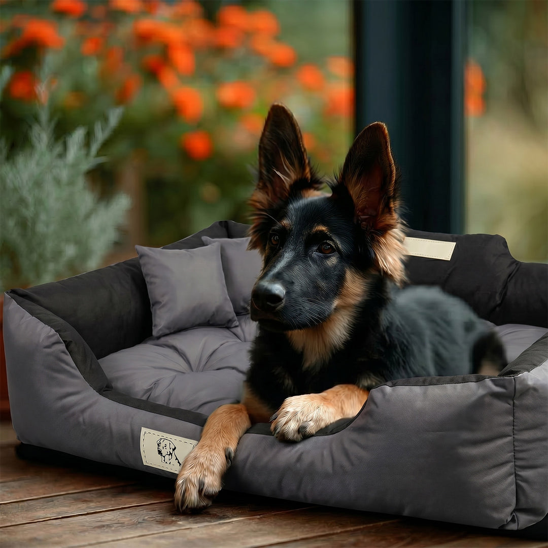 GreenBlue-Hundebett, dunkelgrau, rechteckig, Außenmaße 115 x 95 cm, Innenmaße 100 x 80 cm GB240 GR