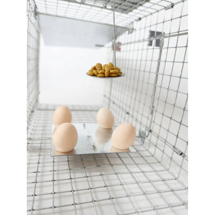 Lebendfalle, Falle für Marder, Ratten, Mäuse, Nerze, Wiesel, Viano P1