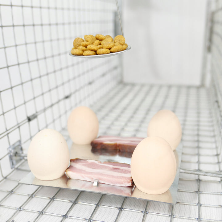 Lebendfalle, Falle für Marder, Ratten, Mäuse, Nerze, Wiesel, Viano P1