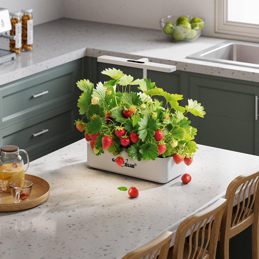 Intelligentes System für den Innenanbau von Pflanzen „GreenBlue“, SMART-Blumentopf, Fassungsvermögen 4 l, 220–240 V AC, 50/60 Hz, 0,4 A, GB133 + Zubehörset