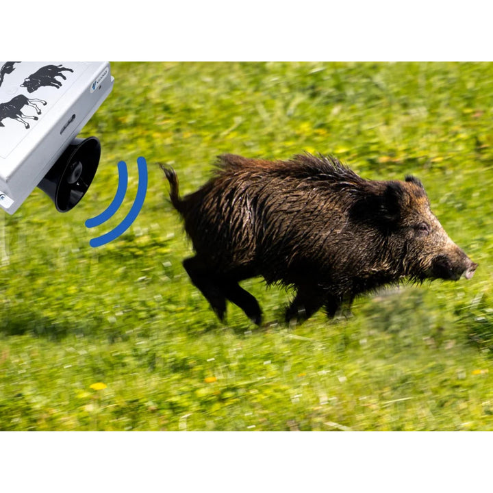 Vertreiber für Waldtiere, Wildschweine, Füchse, Rehe, Viano OZ1, 2 Stück