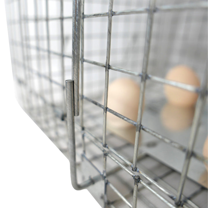 Lebendfalle, Falle für Marder, Ratten, Mäuse, Nerze, Wiesel, Viano P2, 2 Stück
