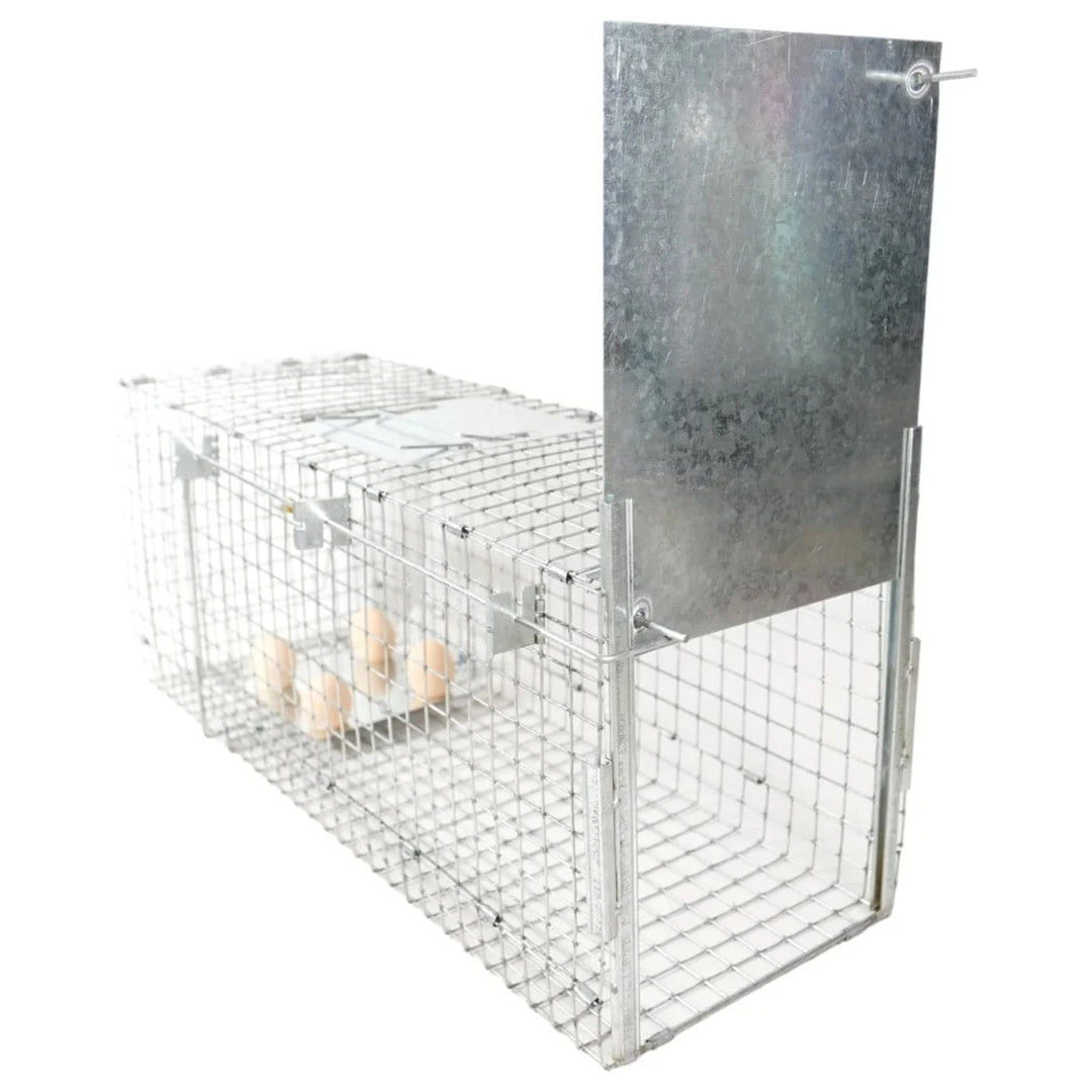 Lebendfalle, Falle für Marder, Ratten, Mäuse, Nerze, Wiesel, Viano P2, 2 Stück