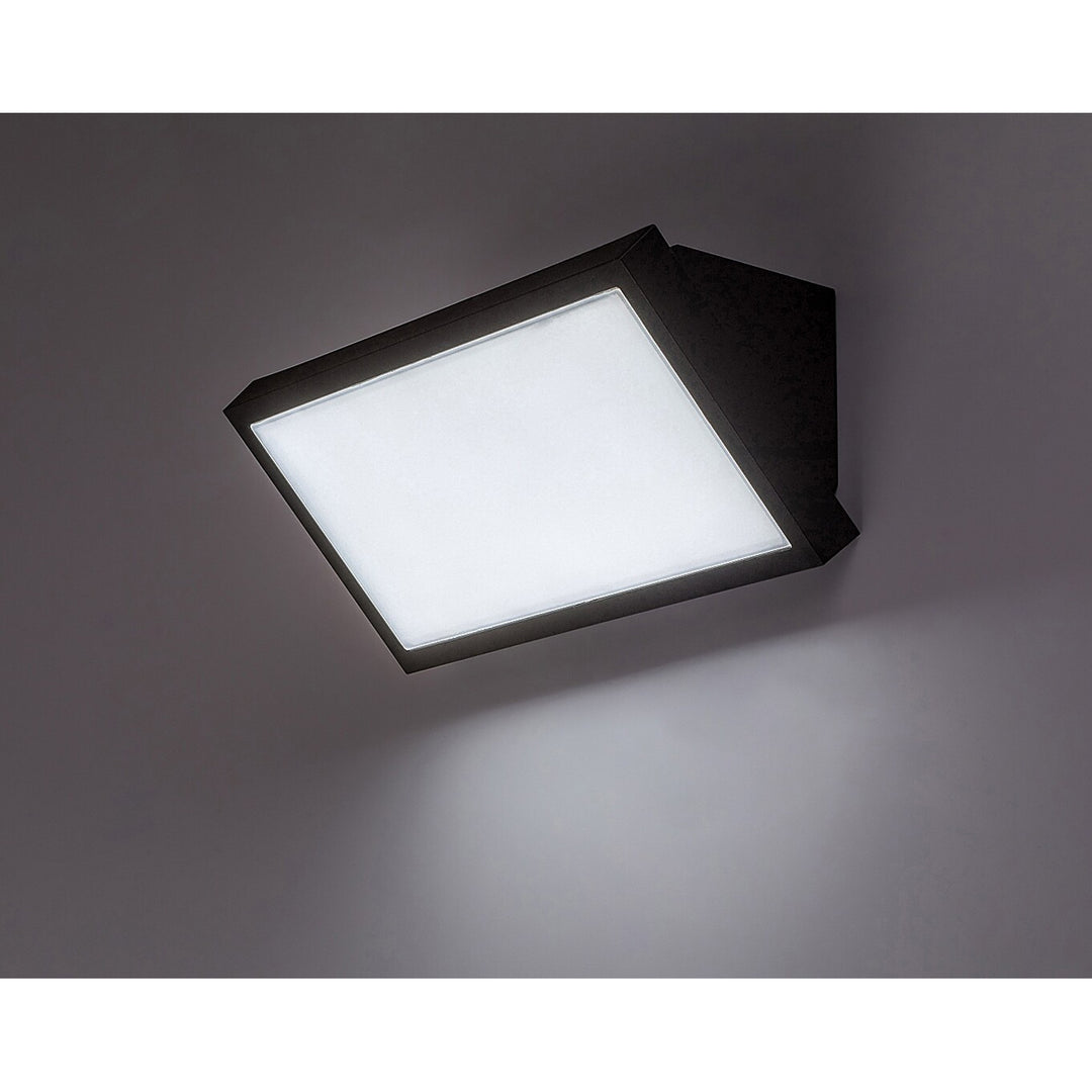 Rabalux Rapla2 LED-Lampe 18 W, schwarz, IP65, Energieeffizienzklasse F, Lichtfarbtemperatur einstellbar auf 2700, 4000, 6500 K, 77150, 2 Stück