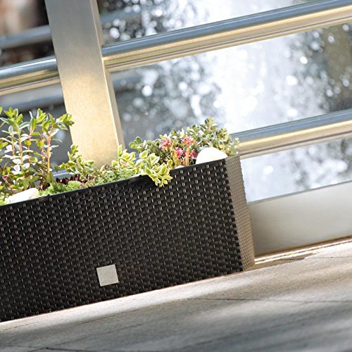 Blumentopf Topf Prosperplast Rattan Style DRTC500 Rato Case