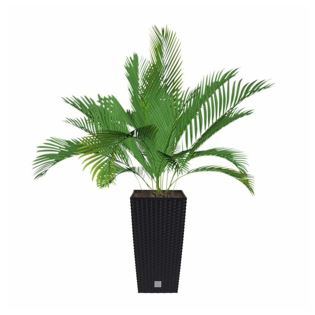 Blumentopf mit Prosperplast Rato Square DRTS225 S433