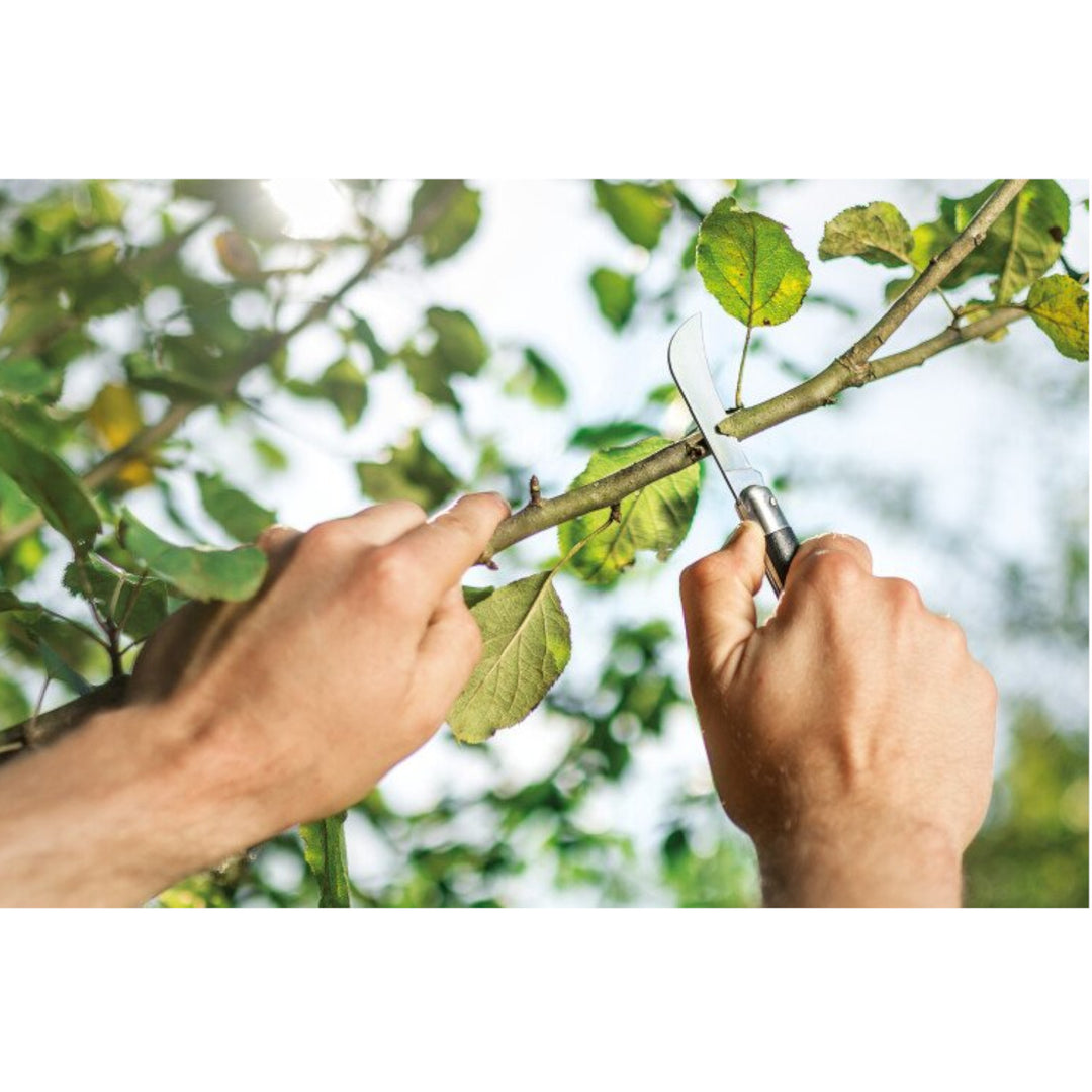 Cellfast Edelstahl Gartenmesser Gartenhippe Gärtnermesser