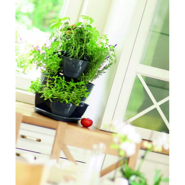 Dreifacher Kaskadentopf für Kräuter Coubi Herbal Anthrazit