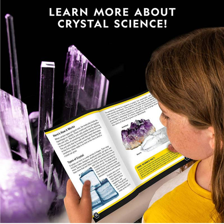 National Geographic - Lila Kristallzüchtungs-Laborkit