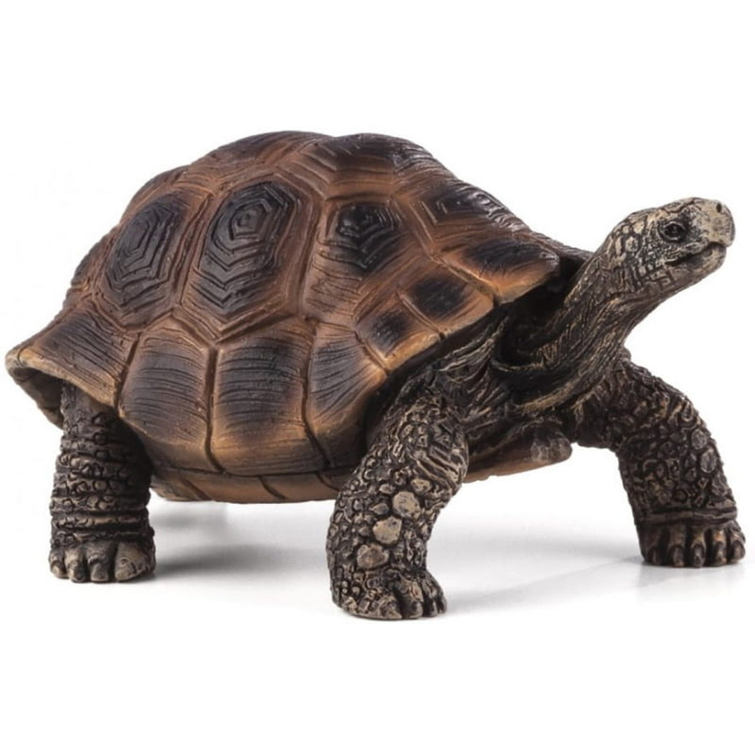 Animal Planet Tierfifur Spielfigur - Schildkröten-Figur, Animal Planet, 8 cm x 5 cm x 3,5 cm - detailgetreu u. handbemalt - qualitativ u. Sicher