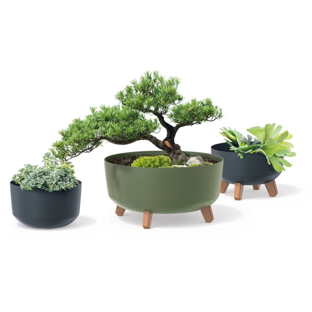 Prosperplast Gracia Low Blumentopf mit abnehmbaren Beinen inkl. Einsatz für Innen- und Außenbereich Pflanzgefäß Rund Kunststoff UV-beständig (285mm, Weiß) …