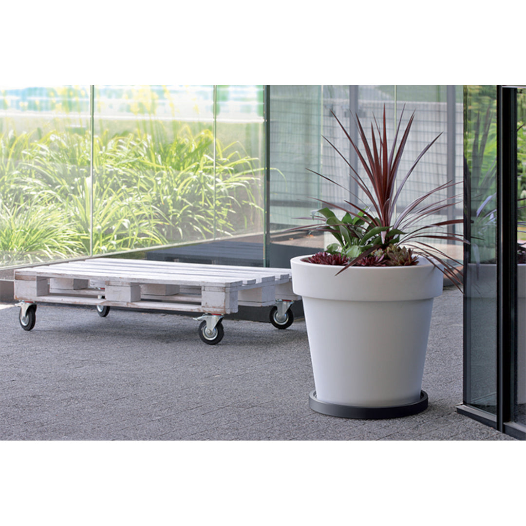 Mobile Saucer Round Blumentopf Untersetzer mit Rollen Pflanzenroller Blumenroller Roller 360 Grad Drehbar Rund Ø 44,6m …
