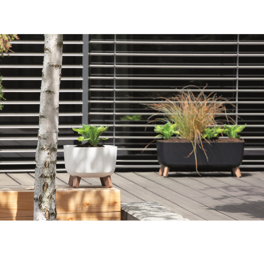 Prosperplast Gracia Square Blumentopf mit abnehmbaren Beinen inkl. Einsatz für Innen- und Außenbereich Pflanzgefäß Quadratisch Kunststoff UV-beständig 39x39x27cm