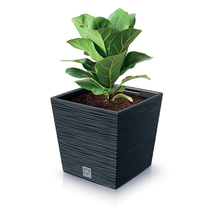 Prosperplast Furu Square Low Blumentopf mit Einsatz DFS240-S433 - Farbe Anthrazit