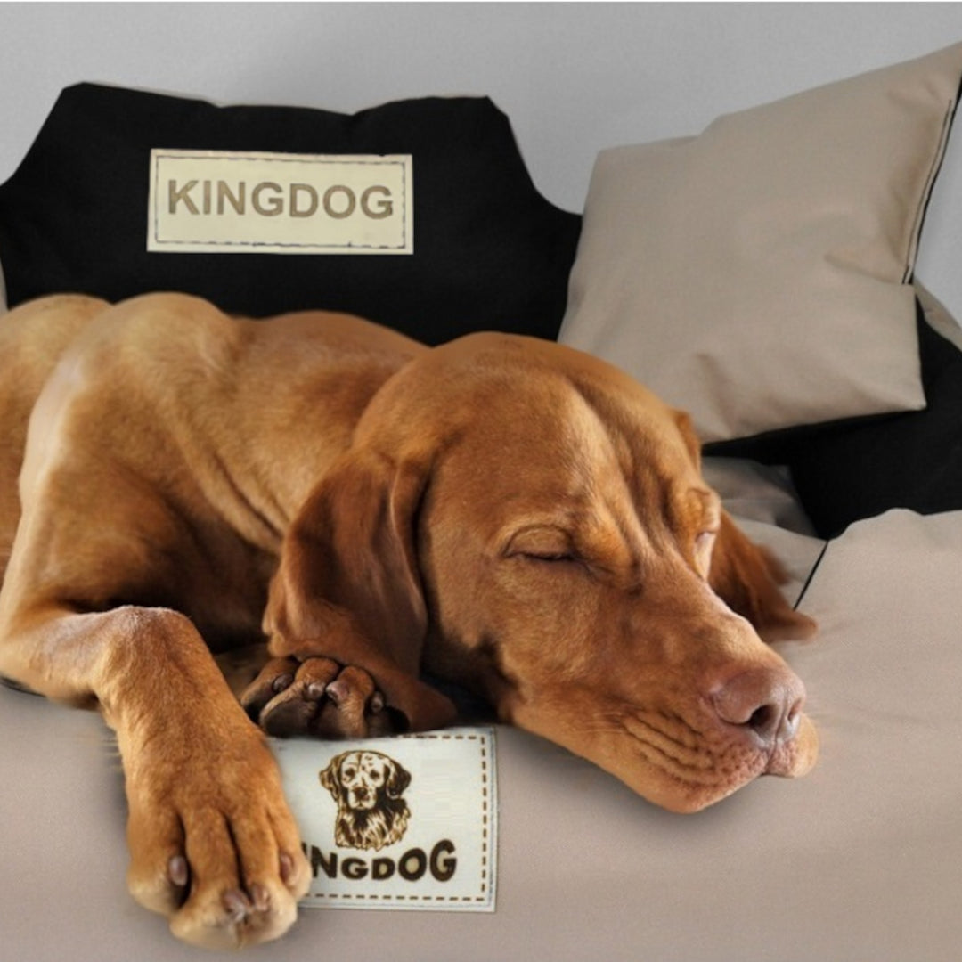 KingDog Hunde- und Katzenbett mit Zwei Kissen Hundekissen Hundekorb Haustierbett Waschbar Wasserdichtes PVC-Material (3XL 145x115cm, Rot)