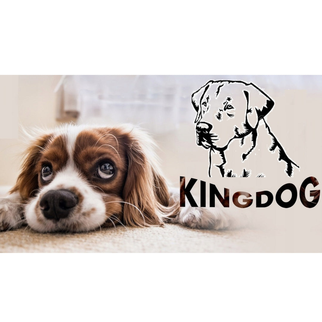 KingDog Hunde- und Katzenbett mit Zwei Kissen Hundekissen Hundekorb Haustierbett Waschbar Wasserdichtes PVC-Material (3XL 145x115cm, Rot)