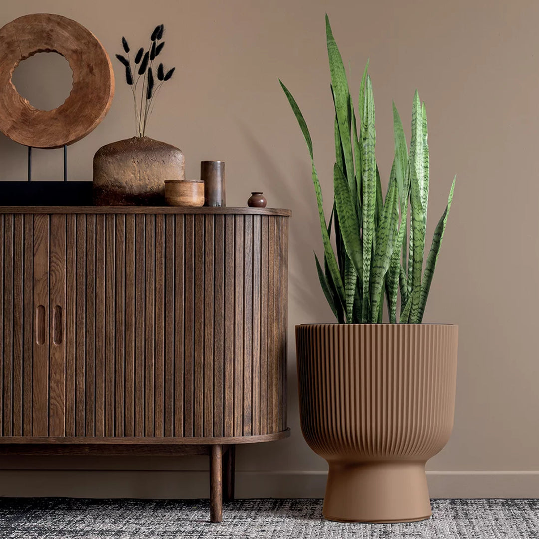 Prosperplast Milly Designer-Blumentopf Modernes Zylinderdesign inkl. Pflanzeinsatz, für Innen- und Außenbereich, Frostbeständig, Hitzebeständig und UV-strahlenbeständig Anthrazit, ⌀ 239 mm