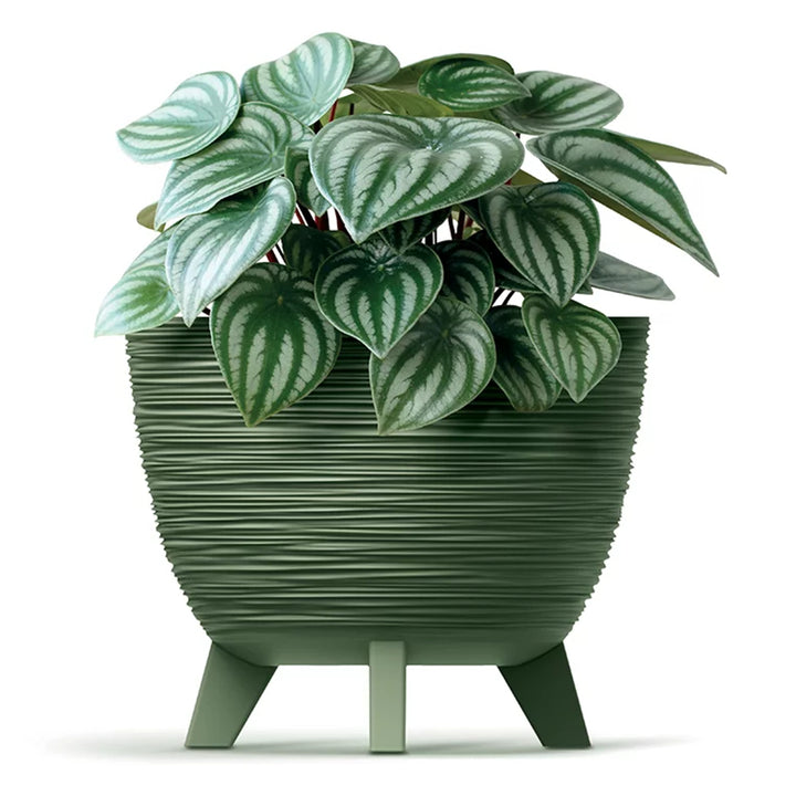 Prosperplast Furu Blumentopf, Schale mit Füßen, Pflanzschale, UV-strahlenbeständig Anthrazit, ⌀ 395mm